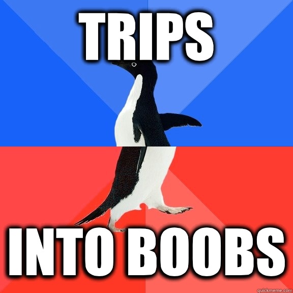 Trips Into boobs - Socially Awkward Awesome Penguin