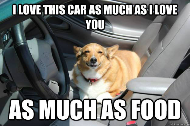 i love this car as much as i love you as much as food - Content Obese Dog