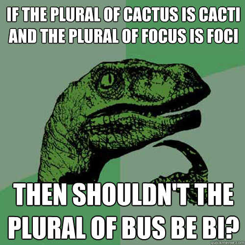 if the plural of cactus is cacti and the plural of focus is - Philosoraptor