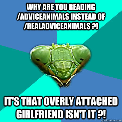 why are you reading adviceanimals instead of realadviceani - Crazy Girlfriend Praying Mantis