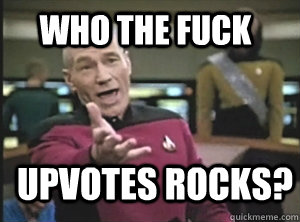who the fuck upvotes rocks - Annoyed Picardutmmediumreferral