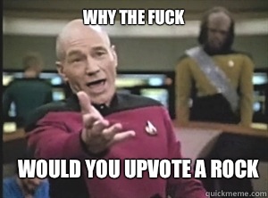 why the fuck Would you up vote a rock - Annoyed Picard