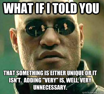 what if i told you that something is either unique or it isn - Matrix Morpheus