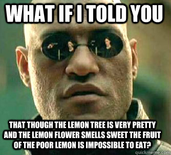 what if i told you that though the lemon tree is very pretty - Matrix Morpheus
