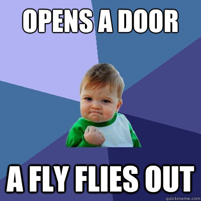 opens a door a fly flies out - Success Kid