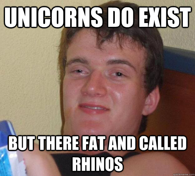 unicorns do exist but there fat and called rhinos - 10 Guy