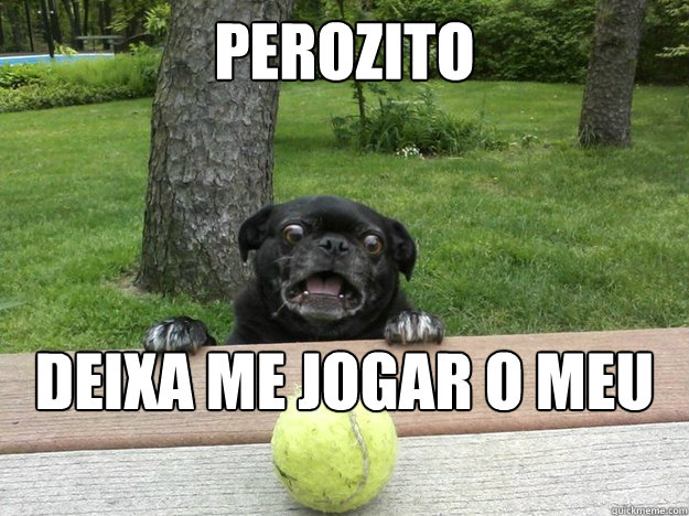 perozito deixa me jogar o meu febol - Berks Dog