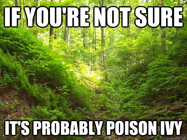 if youre not sure its probably poison ivy -