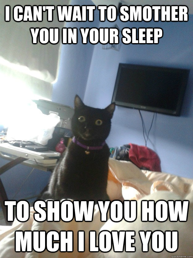 i cant wait to smother you in your sleep to show you how mu - overly attached cat