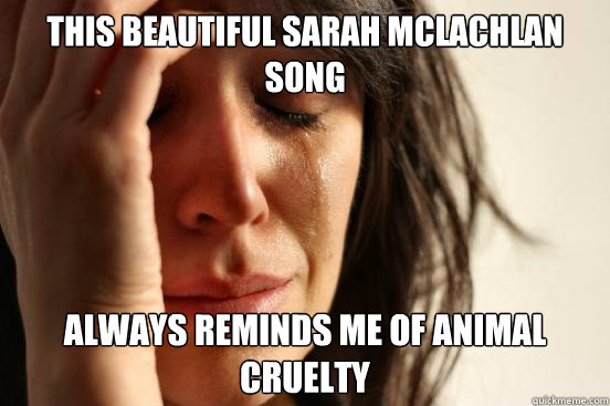 this beautiful sarah mclachlan song always reminds me of ani - First World Problems