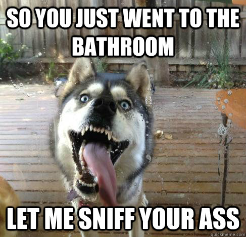 so you just went to the bathroom let me sniff your ass - Overly Attached Dog