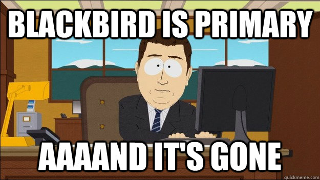 blackbird is primary aaaand its gone - aaaand its gone