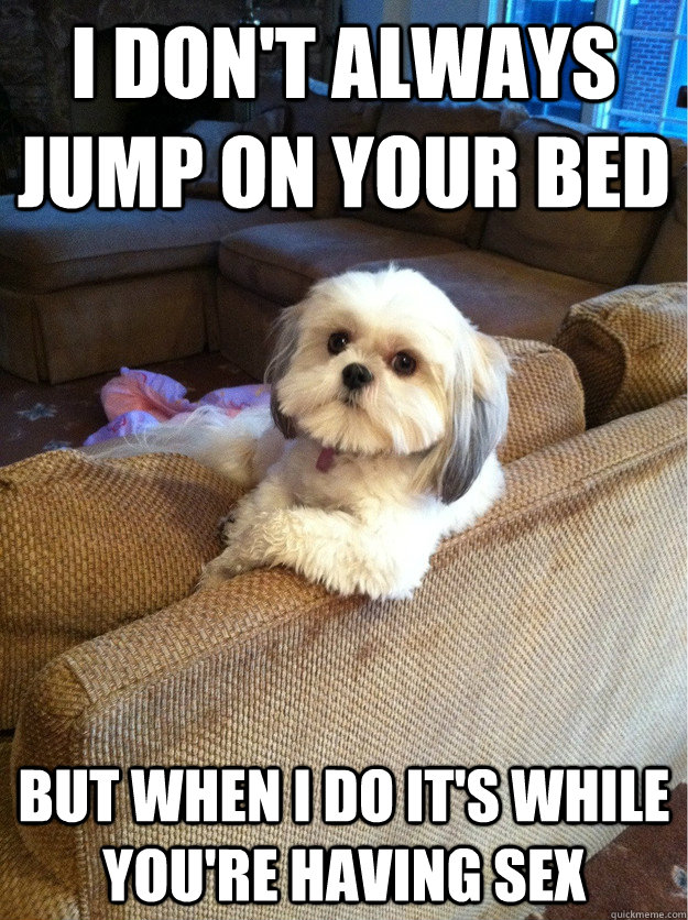 i dont always jump on your bed but when i do its while you - The Most Interesting Dog In The World