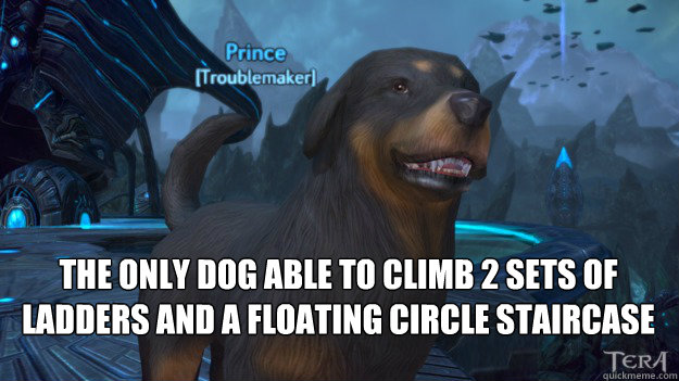 the only dog able to climb 2 sets of ladders and a floating - Tera Prince