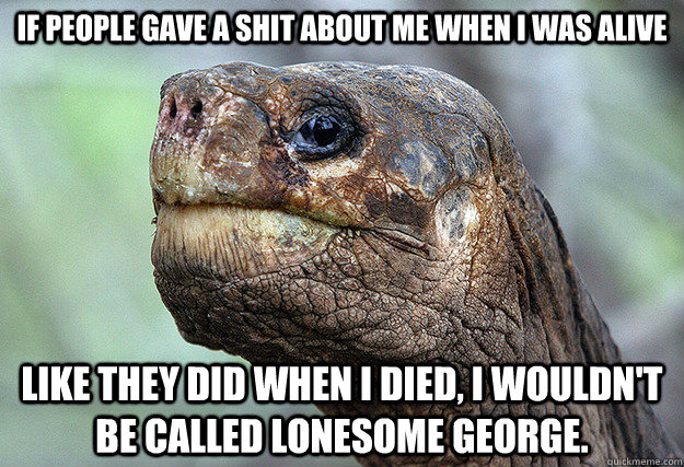 if people gave a shit about me when i was alive like they di - Lonesome George