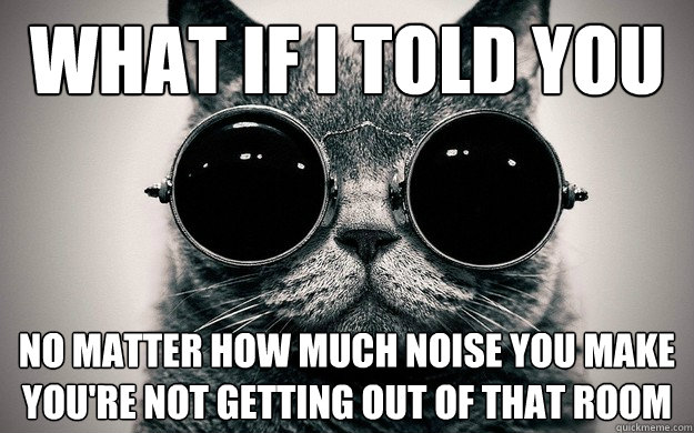what if i told you no matter how much noise you make youre - Morpheus Cat Facts