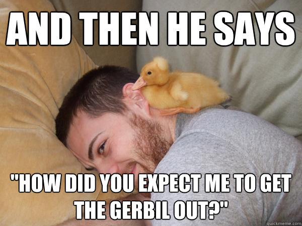 and then he says how did you expect me to get the gerbil ou - Punchline Duck