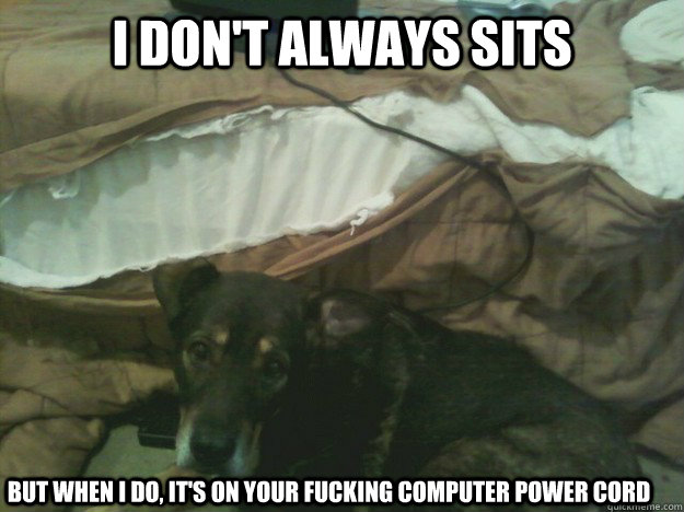 i dont always sits but when i do its on your fucking comp -