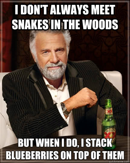 i dont always meet snakes in the woods but when i do i sta - The Most Interesting Man In The World