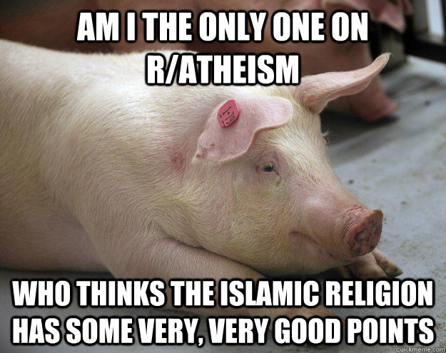 am i the only one on ratheism who thinks the islamic religi - Optimistic Piggy
