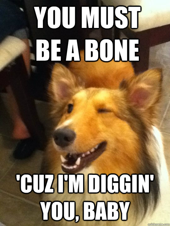 you must be a bone cuz im diggin you baby - Smooth Operator Lassie