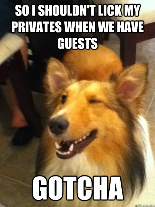 Dogs Privates