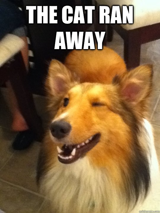 The cat ran away - implying dog