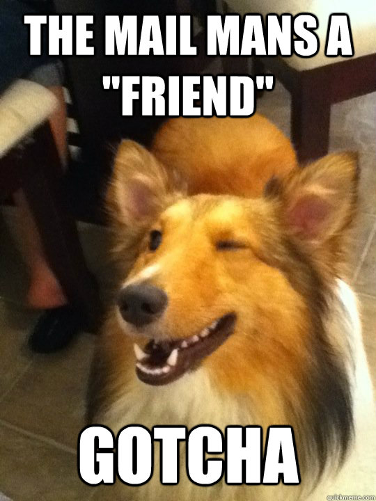 the mail mans a friend gotcha - implying dog