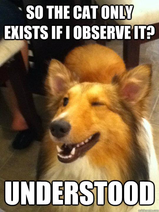 so the cat only exists if i observe it understood - implying dog