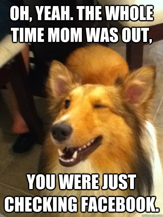 oh yeah the whole time mom was out you were just checking - implying dog