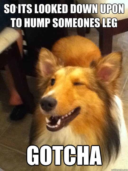so its looked down upon to hump someones leg gotcha - implying dog