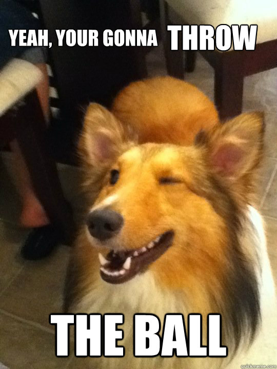 yeah your gonna the ball throw - implying dog