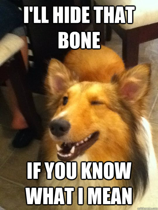 ill hide that bone if you know what i mean -