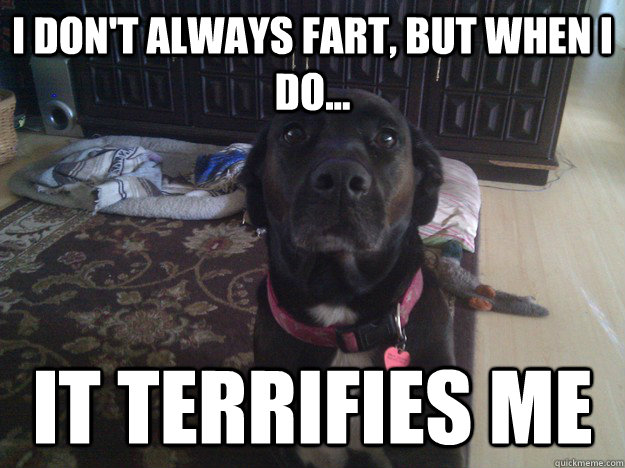i dont always fart but when i do it terrifies me - Most Interesting Dog in the World