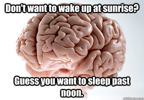 dont want to wake up at sunrise guess you want to sleep pa - Scumbag Brain