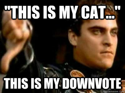 this is my cat this is my downvote - Downvoting Roman