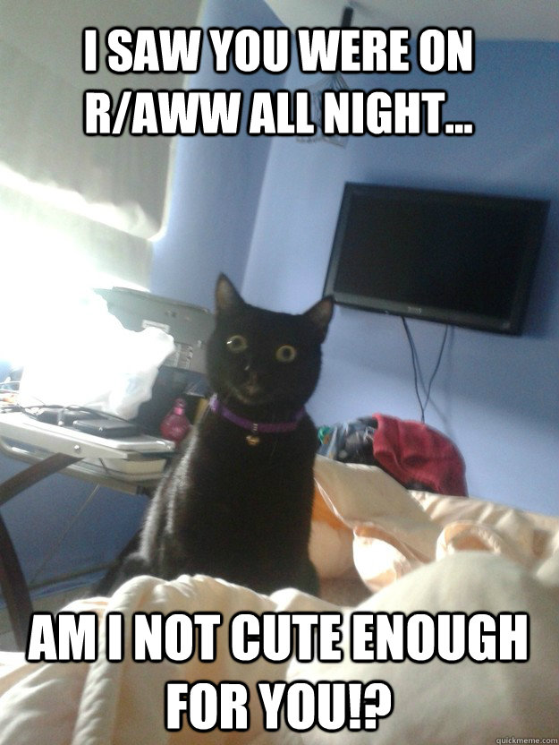i saw you were on raww all night am i not cute enough fo - overly attached cat