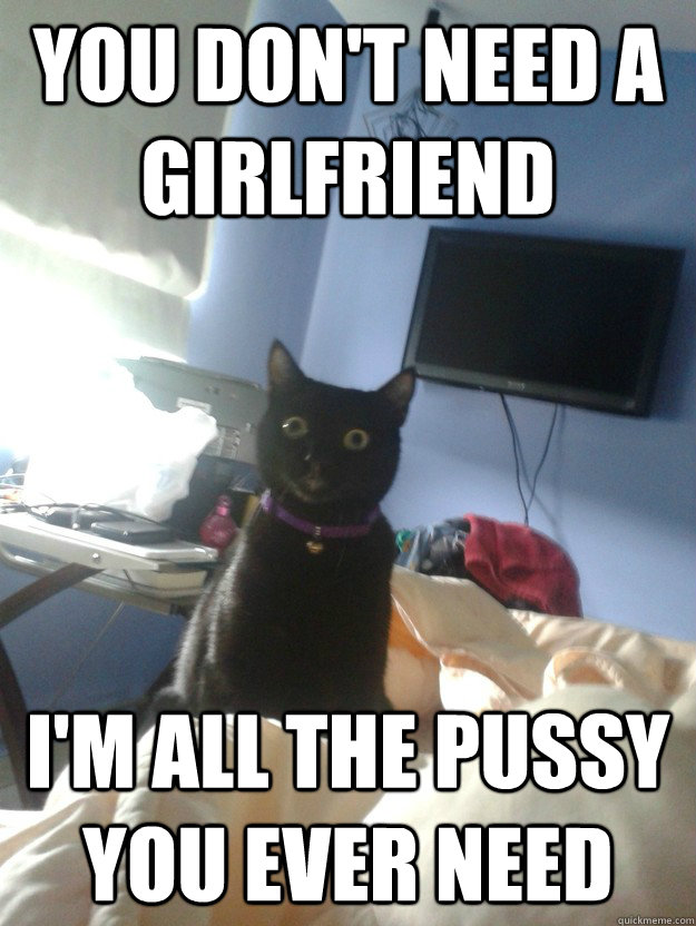 you dont need a girlfriend im all the pussy you ever need - overly attached cat