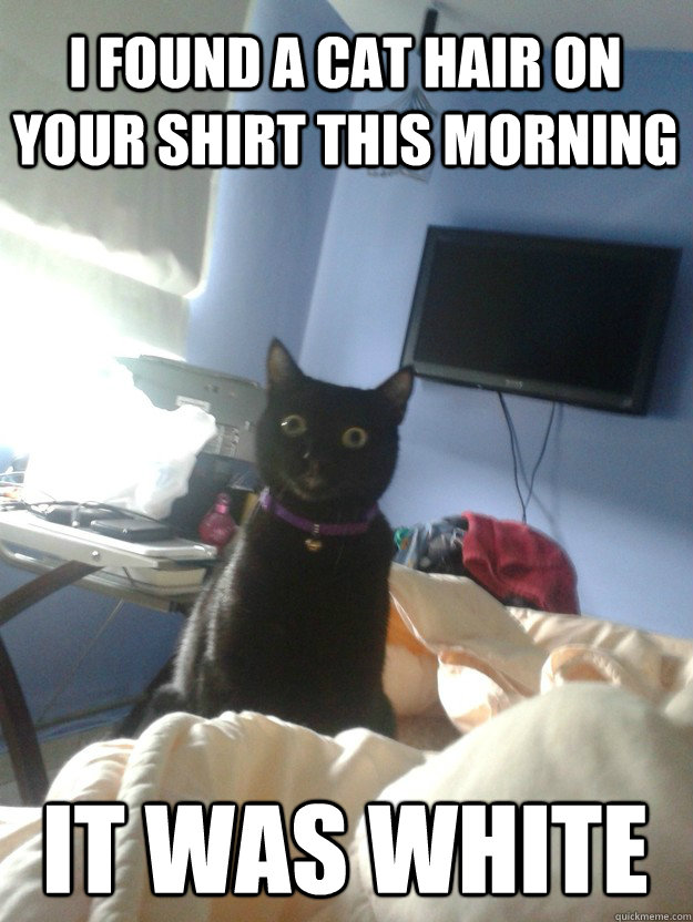 i found a cat hair on your shirt this morning it was white - overly attached cat