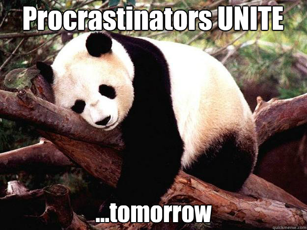 procrastinators unite tomorrow - Procrastination Panda