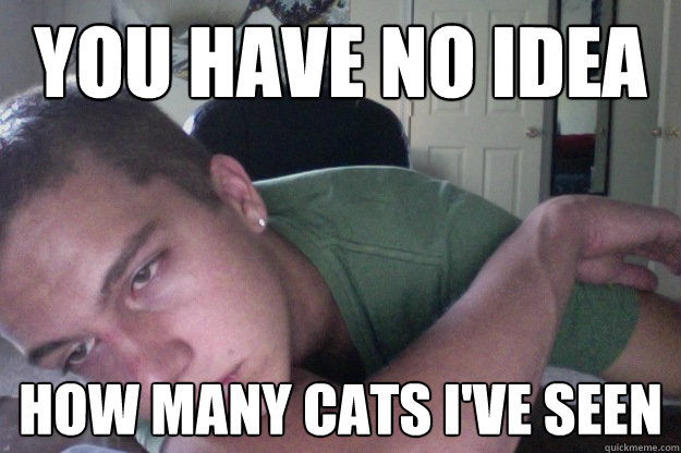 you have no idea how many cats ive seen - Hardcore Redditor