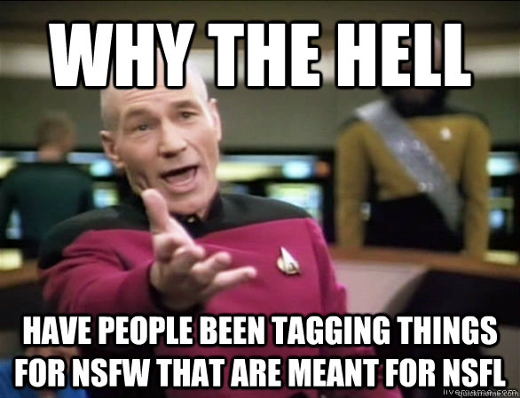 why the hell have people been tagging things for nsfw that a - Annoyed Picard HD