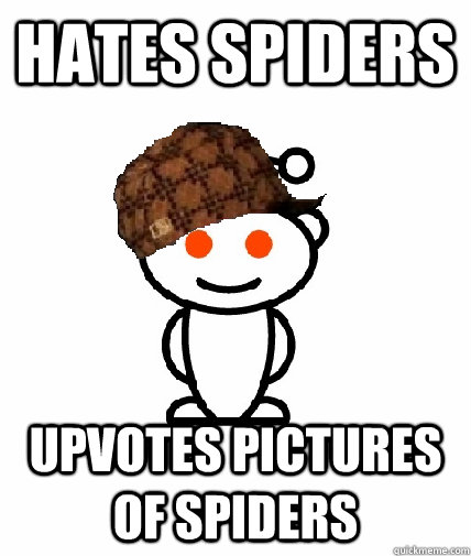 hates spiders upvotes pictures of spiders - Scumbag Reddit