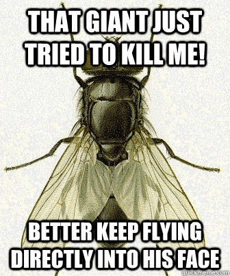 that giant just tried to kill me better keep flying directl - Fly logic