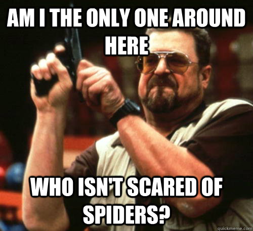 am i the only one around here who isnt scared of spiders - Am I The Only One Around Here