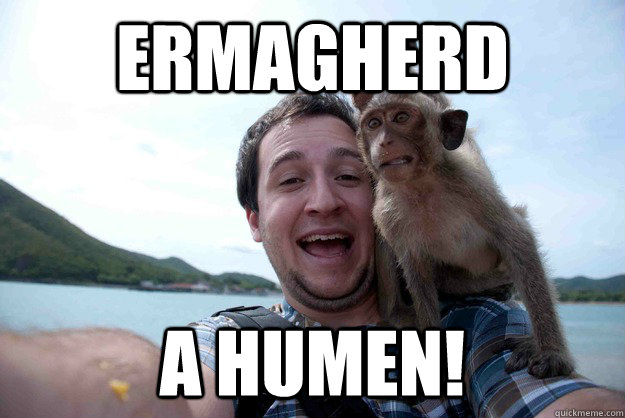ermagherd a humen - funny monkey