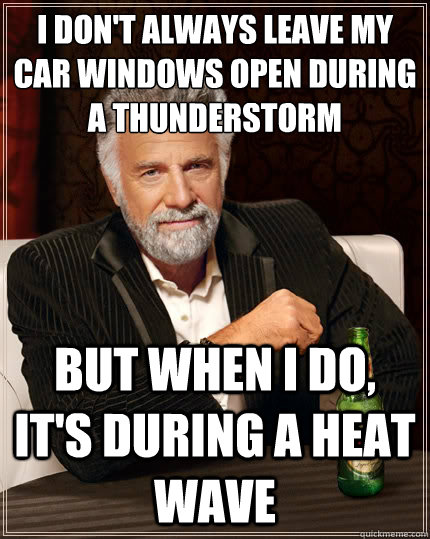 i dont always leave my car windows open during a thundersto - The Most Interesting Man In The World