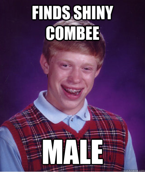finds shiny combee male - Bad Luck Brian