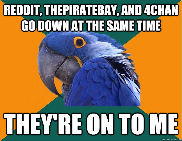 reddit thepiratebay and 4chan go down at the same time the - Paranoid Parrot