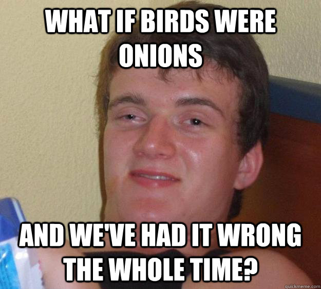 what if birds were onions and weve had it wrong the whole t - 10 Guy